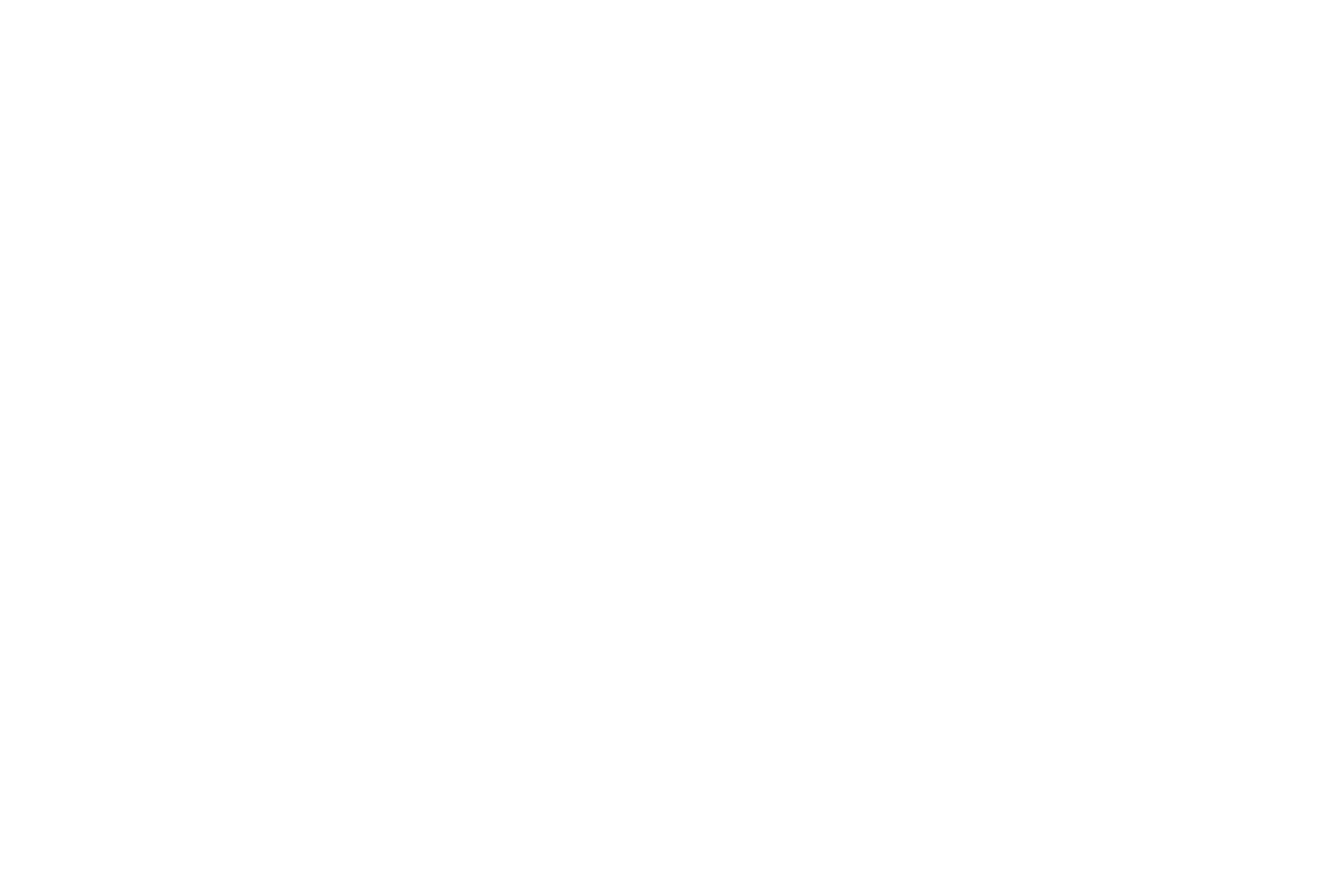 Frituurke 't Zwin, sinds 1995